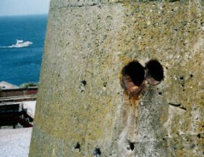 ���̃N���[�U�[�H