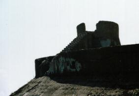 �����猩�グ��