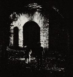 �����͌����I