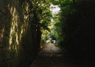 ���������I